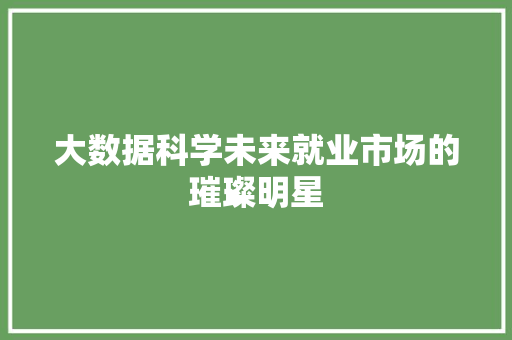 大数据科学未来就业市场的璀璨明星