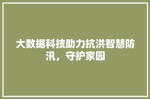 大数据科技助力抗洪智慧防汛，守护家园