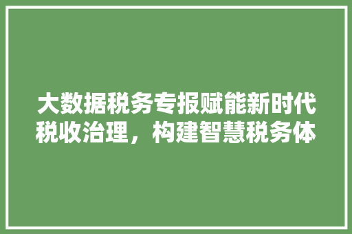大数据税务专报赋能新时代税收治理,构建智慧税务体系 大数据税务专报赋能新时代税收治理,构建智慧税务体系