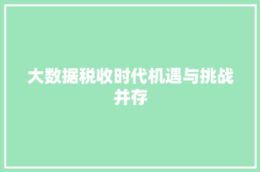大数据税收时代机遇与挑战并存