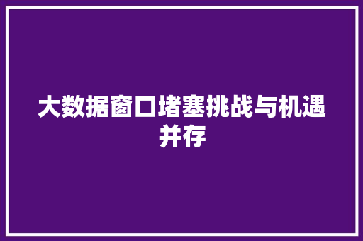 大数据窗口堵塞挑战与机遇并存 网络技术