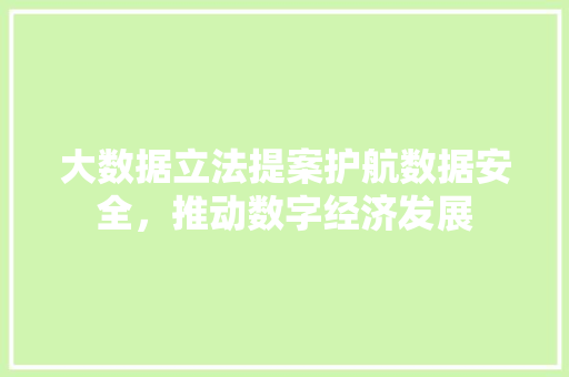 大数据立法提案护航数据安全，推动数字经济发展