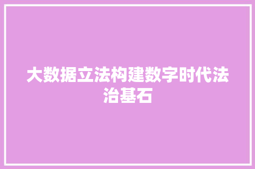 大数据立法构建数字时代法治基石 大数据立法构建数字时代法治基石