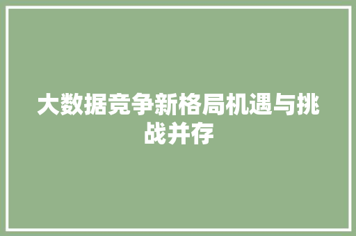 大数据竞争新格局机遇与挑战并存