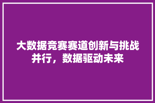 大数据竞赛赛道创新与挑战并行，数据驱动未来