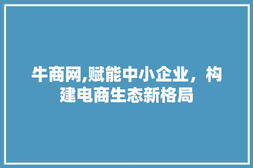 牛商网,赋能中小企业，构建电商生态新格局 牛商网,赋能中小企业，构建电商生态新格局 编程语言