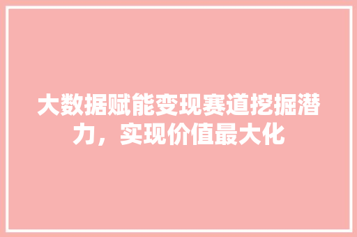 大数据赋能变现赛道挖掘潜力，实现价值最大化 电脑基础