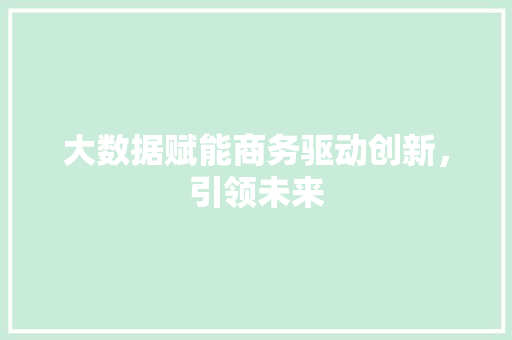 大数据赋能商务驱动创新，引领未来