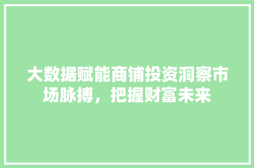 大数据赋能商铺投资洞察市场脉搏，把握财富未来