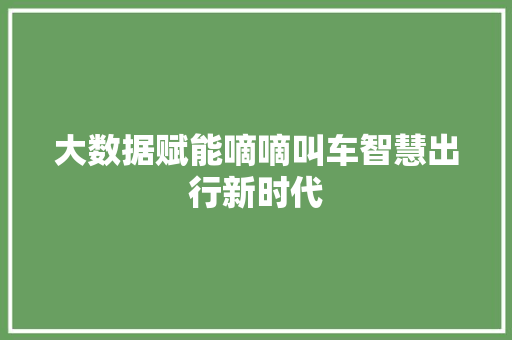 大数据赋能嘀嘀叫车智慧出行新时代
