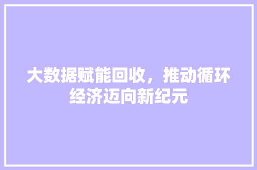 大数据赋能回收，推动循环经济迈向新纪元