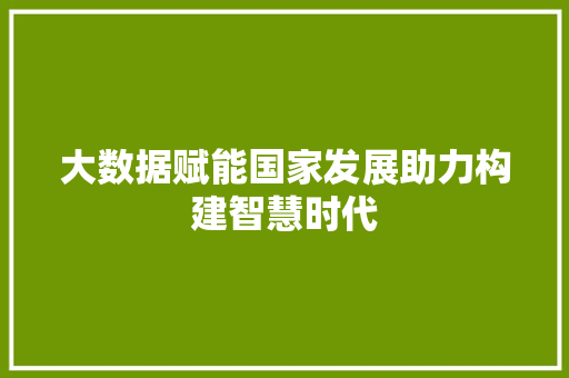 大数据赋能国家发展助力构建智慧时代