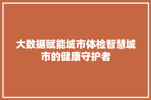 大数据赋能城市体检智慧城市的健康守护者