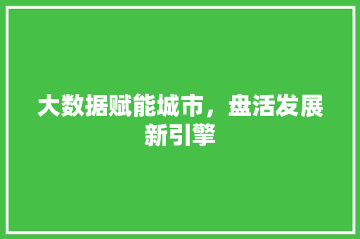 大数据赋能城市，盘活发展新引擎