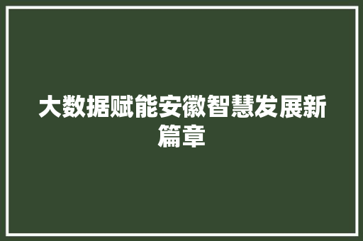 大数据赋能安徽智慧发展新篇章