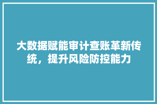 大数据赋能审计查账革新传统,提升风险防控能力 编程语言 大数据赋能审计查账革新传统,提升风险防控能力 编程语言