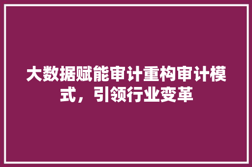 大数据赋能审计重构审计模式,引领行业变革 大数据赋能审计重构审计模式,引领行业变革