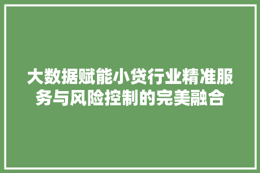 大数据赋能小贷行业精准服务与风险控制的完美融合 大数据赋能小贷行业精准服务与风险控制的完美融合
