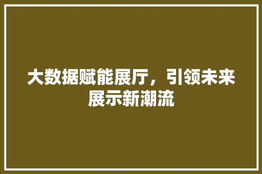 大数据赋能展厅，引领未来展示新潮流 编程语言
