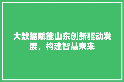 大数据赋能山东创新驱动发展，构建智慧未来