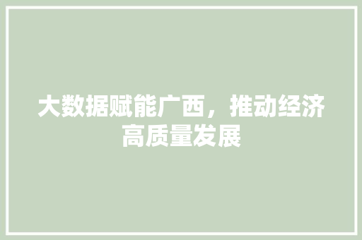大数据赋能广西,推动经济高质量发展 大数据赋能广西,推动经济高质量发展