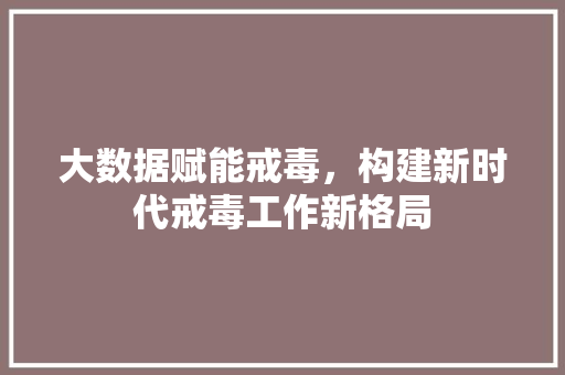 大数据赋能戒毒，构建新时代戒毒工作新格局
