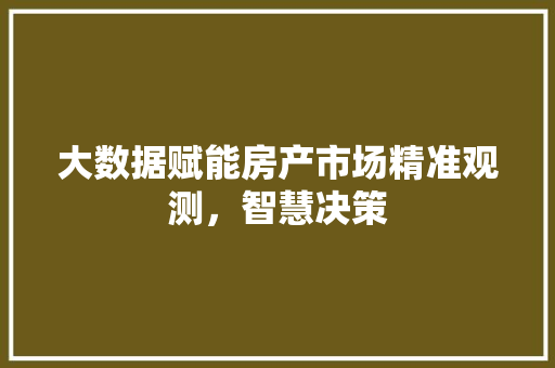 大数据赋能房产市场精准观测，智慧决策