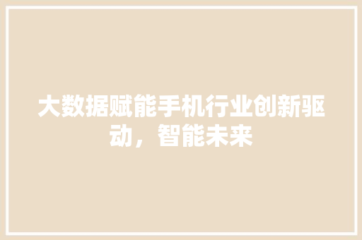 大数据赋能手机行业创新驱动，智能未来