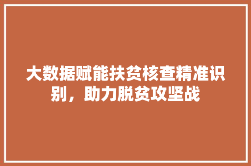 大数据赋能扶贫核查精准识别，助力脱贫攻坚战