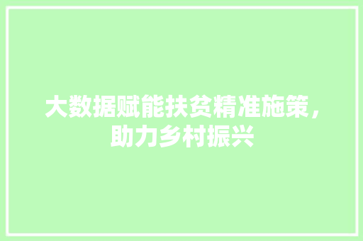 大数据赋能扶贫精准施策，助力乡村振兴 电脑配置
