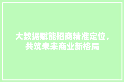 大数据赋能招商精准定位，共筑未来商业新格局