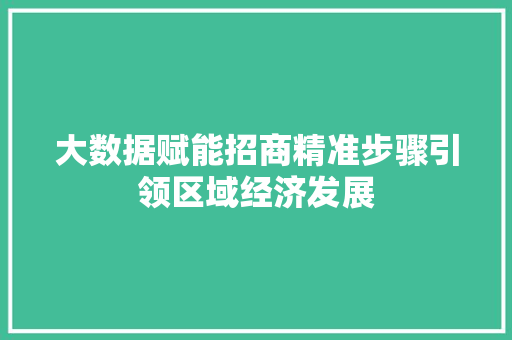 大数据赋能招商精准步骤引领区域经济发展