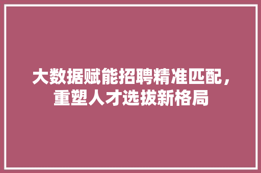 大数据赋能招聘精准匹配，重塑人才选拔新格局