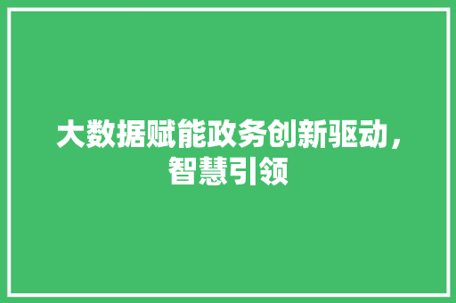 大数据赋能政务创新驱动,智慧引领 大数据赋能政务创新驱动,智慧引领