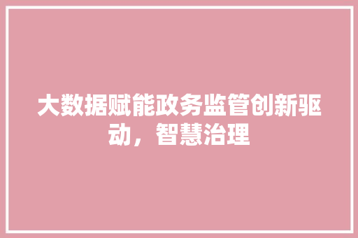 大数据赋能政务监管创新驱动,智慧治理 大数据赋能政务监管创新驱动,智慧治理