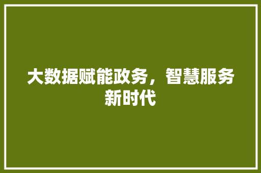 大数据赋能政务，智慧服务新时代