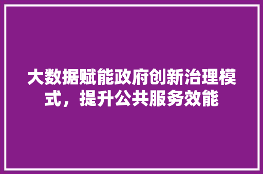 大数据赋能政府创新治理模式,提升公共服务效能 电脑基础 大数据赋能政府创新治理模式,提升公共服务效能 电脑基础