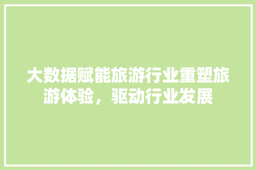 大数据赋能旅游行业重塑旅游体验，驱动行业发展 编程语言