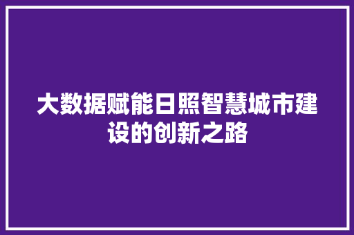 大数据赋能日照智慧城市建设的创新之路