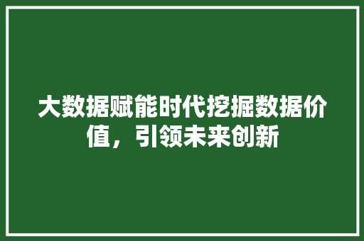 大数据赋能时代挖掘数据价值，引领未来创新