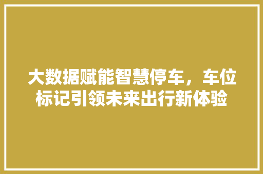 大数据赋能智慧停车，车位标记引领未来出行新体验