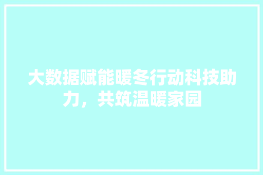 大数据赋能暖冬行动科技助力，共筑温暖家园