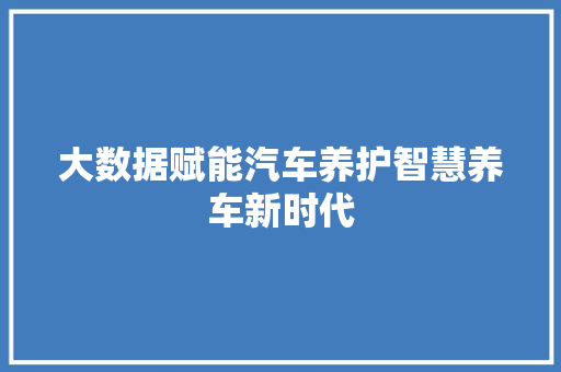 大数据赋能汽车养护智慧养车新时代