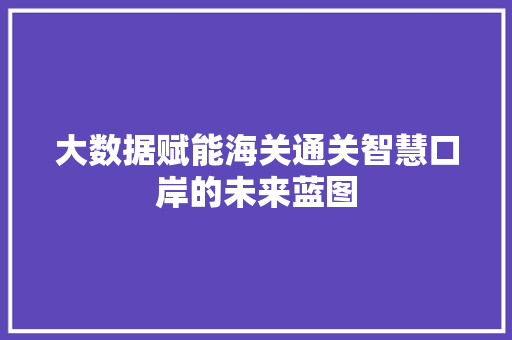 大数据赋能海关通关智慧口岸的未来蓝图