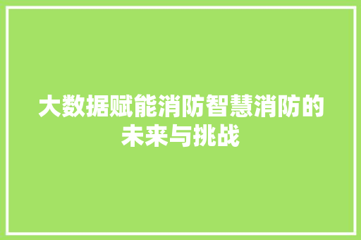 大数据赋能消防智慧消防的未来与挑战