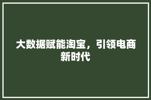 大数据赋能淘宝，引领电商新时代
