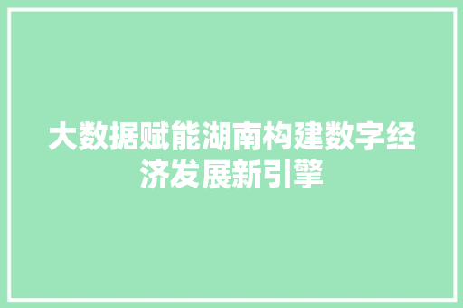 大数据赋能湖南构建数字经济发展新引擎