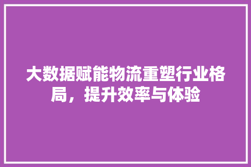 大数据赋能物流重塑行业格局，提升效率与体验