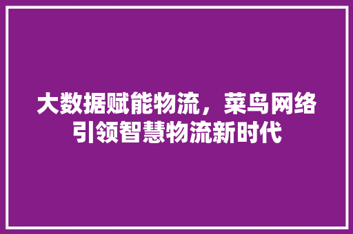 大数据赋能物流，菜鸟网络引领智慧物流新时代