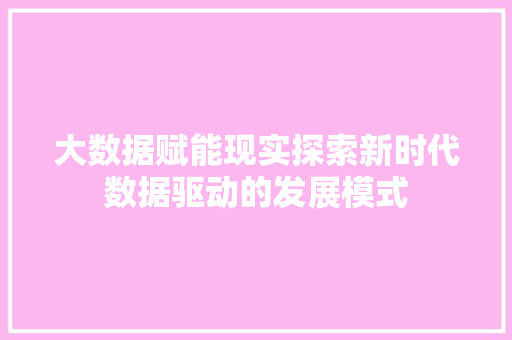 大数据赋能现实探索新时代数据驱动的发展模式